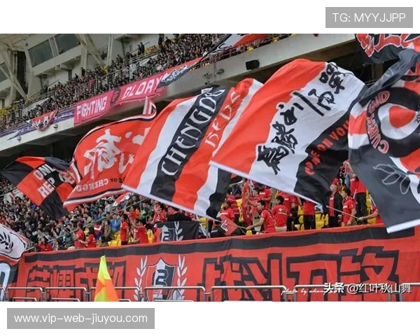 从全国球迷羡慕凤凰山到全国球迷不待见，这中间经历了什么？，凤凰山专业足球场效果图