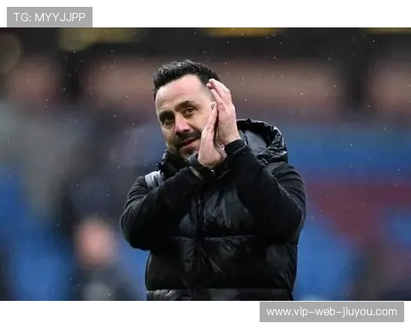 布莱顿的欧战首秀：德泽尔比的挑战与机遇，德布莱尔门窗有限公司